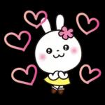 優しい2!!かわいい白うさぎ