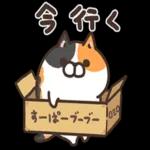 ニャー星人の楽園🤩🤩