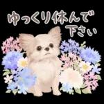 大人かわいい♡いぬと花のスタンプ