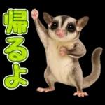 フクロモモンガ❤実りの秋は大豊作