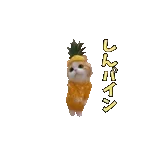 動く！踊るダジャレ猫ミーム！