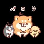 SHIROM
てはまたー