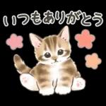 冬の毎日と年末年始☆猫たちのスタンプ