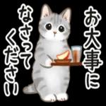 夏☆猫たちのスタンプ_-_