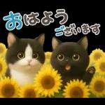 ちびニャンず♡夏の日常-毎日使える-