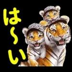 大阪神戸の野球好き虎ファン向け2