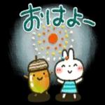 夏ー秋「白うさぎさん」