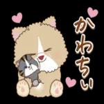 猫と仲間達♡日常。～