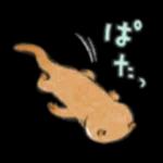 可愛い嘘のカワウソ❤️