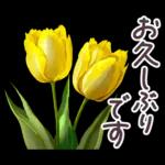 毎日使える お花 敬語✿大人上品お花