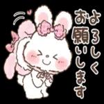 可愛いウサギ🐰からのメッセージ