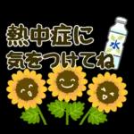 キャラなし大人の夏～秋Lサイズ