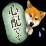 さすが！柴犬（よく使う言葉編２）