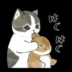 ずっとあなたを守ります😊😊😊