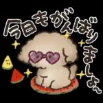 夏‼︎まいにち使える❤️もこもこいぬ