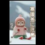 可愛い猫 冬 スキー スノボー 思いやりBIG
