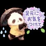 แพนด้าด้วยความเคารพ