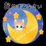 水彩♡ふわふわ♡秋の子猫