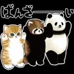 深夜はスマホを置いて😪😪