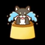 黒豆柴 あずき♡毎日使える 秋冬ver