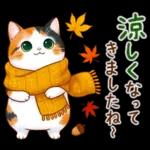 三毛猫のつめあわせ【秋】
