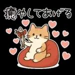 猫ちゃんとスイーツと夏