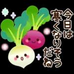 毎年使える♪冬・正月のやさしい挨拶♡