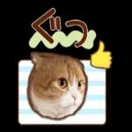 たれ耳ねこちゃん_見やすい！使いやすい♪
