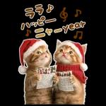 大きく表示♡冬にゃんこ