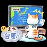 猫のつめあわせ【秋】