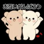 癒しを運ぶくまさん ♡ ポジティブ