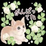かわいらしい小さな花だ