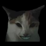 silly calico cat memes