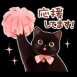黒猫のつめあわせ♪