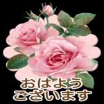 おはよう ございます