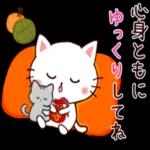 かわいい猫😺が来ますよ！