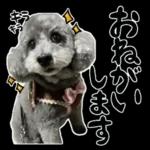 大人かわいい日常メッセージ?