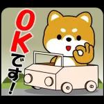 体が大事です👩🏻‍⚕️👩🏻‍⚕️👩🏻‍⚕️