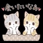 毎日使える♡大人可愛い