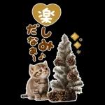 大きく表示♡冬にゃんこ