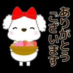 🐶犬の冒険物語