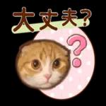 たれ耳ねこちゃん_見やすい！使いやすい♪