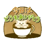 動く！大人可愛いおしゃれカフェ