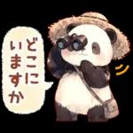 แพนด้าด้วยความเคารพ