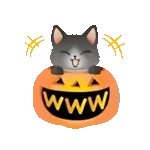 動く！ふわふわ猫たちのハロウィンスタンプ