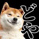 感情丸出しスタンプ