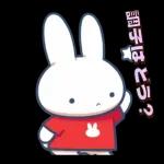 ミッフィーの幸せな暮らし