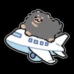 ハワイ大好きポメトーン