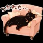 黒猫のつめあわせ♪