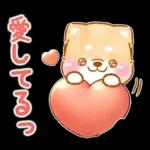 愛する人に感謝を送る❤️いやしばいぬ赤柴